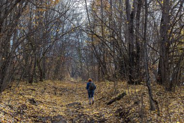 Dağlarda sonbahar, ormanda ve dağlarda gezen fotoğrafçılar.