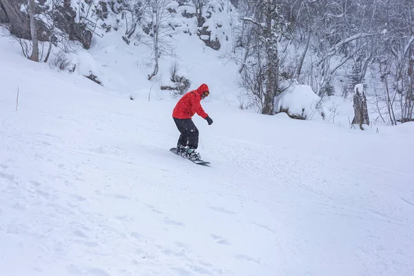 Maikop Adigeya Region Ryssland 2019 Rekreation Bergen Aktiva Vintersporter Snowboard — Stockfoto