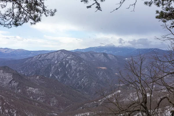 冬の山のパノラマ 雪に覆われた斜面 葉のない森 自然の暗い状態 — ストック写真