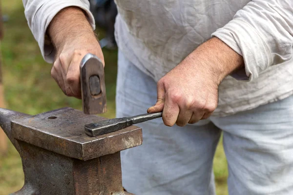 Maykop Region Adygea Російська Федерація 2019 Craft Blacksmith Field Flowing — стокове фото