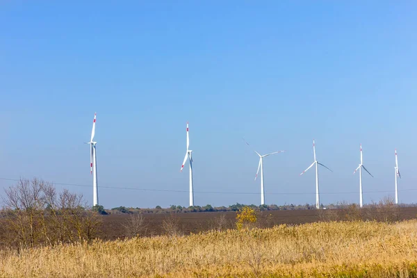 Turbiny Powietrzne Wytwarzające Energię Elektryczną Słoneczny Poranek Jesiennego Dnia — Zdjęcie stockowe