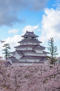 Tsuruga sakura ağaçların yüzlerce tarafından çevrili Kalesi (Aizu Kalesi)