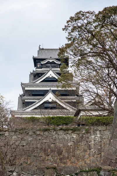 El Castillo Kumamoto es un castillo japonés en Kumamo, en la cima de una colina. — Foto de Stock