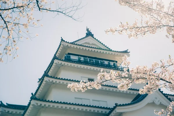 Château de Tsuruga à Aizu-Wakamatsu entouré de centaines de sakura, avec filtre photo Vintage — Photo