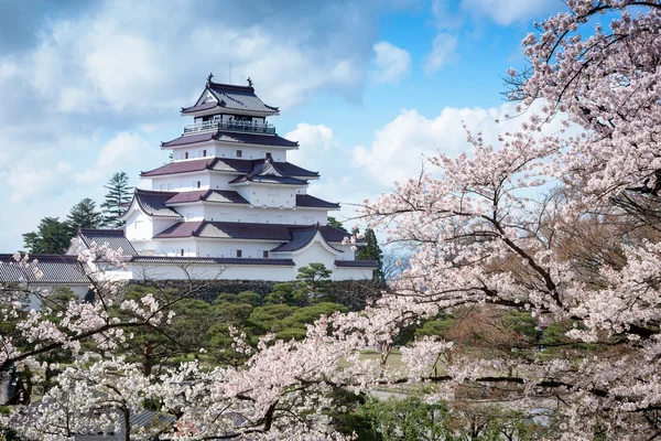 Tsuruga-Burg umgeben von hunderten Sakura-Bäumen lizenzfreie Stockfotos