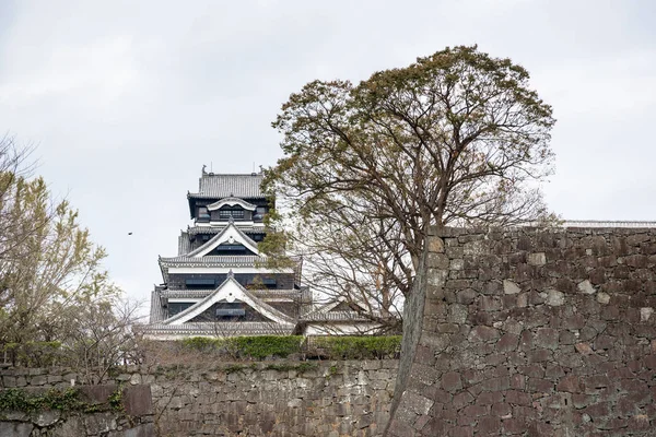 El castillo de Kumamoto es un castillo japonés en la cima de una colina, Kumamoto en la prefectura de Kumamo. . — Foto de Stock