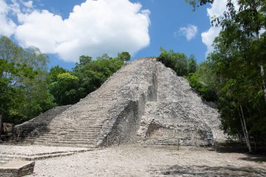 Coba kalıntıları, Riviera Maya, Meksika - görüntü