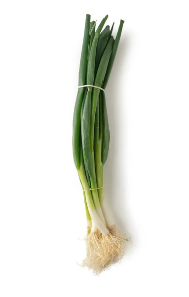 Bunch of fresh young garlic on white background. garlic shoots Stock Image