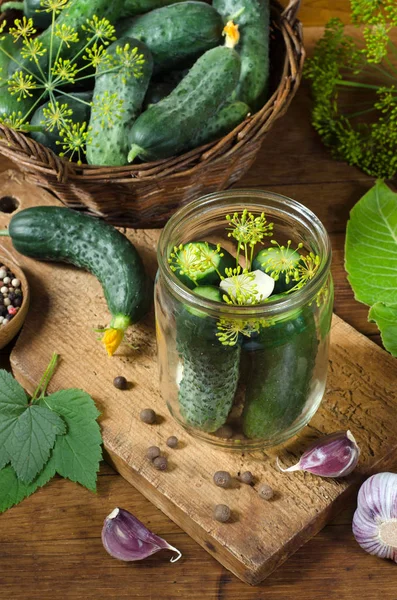 Process of preparing for pickling cucumbers — Stock Photo, Image