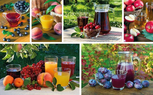딸기와 과일에서 Photo Collage — 스톡 사진