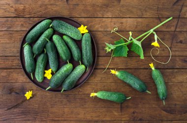 Tabakta olgun yeşil salatalıklar ve ahşap masada yeşil lahanalar. Üst Manzara. Kırsal biçim.