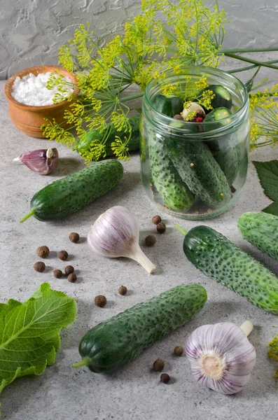 Preparation Pickling Cucumbers Glass Jar Spices Herbs — Stock Photo, Image