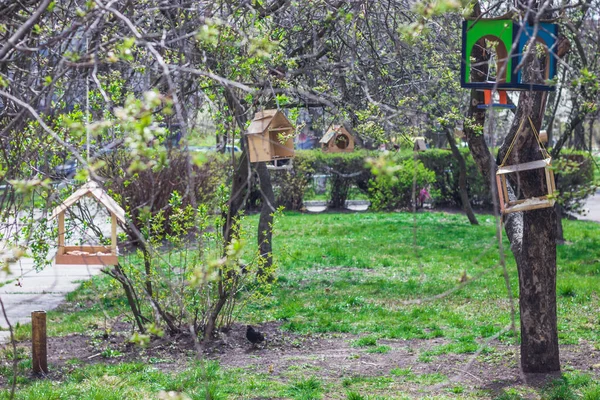 Vogelvoeders Kinderen Maakten Hingen Vogelvoeders Bij School Vogelvoedersystemen Het Vroege — Stockfoto