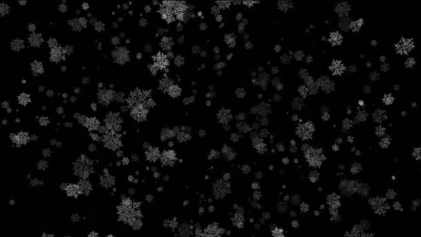 3D空间黑色背景下4K抽象缓慢下落和旋转的雪花 — 图库视频影像