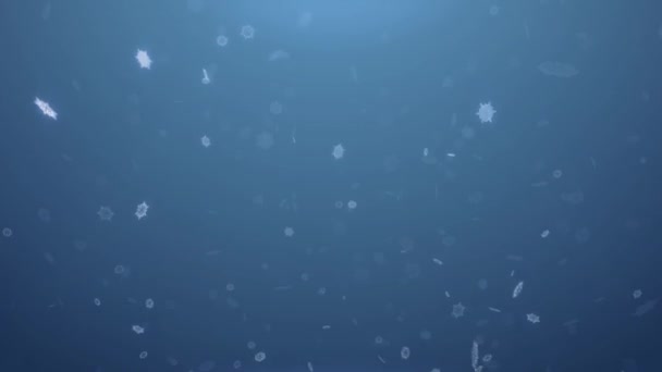 Brilhando flocos de neve 3d caindo em um fundo laço azul. Use como cartão de Natal ou Ano Novo animado, como tema de inverno ou fundo — Vídeo de Stock