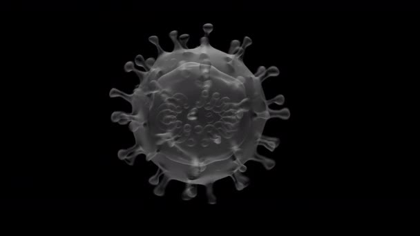 Coronavirus Auch Als 2019 Ncov Bekannt Konzept Des Virus Darstellung — Stockvideo