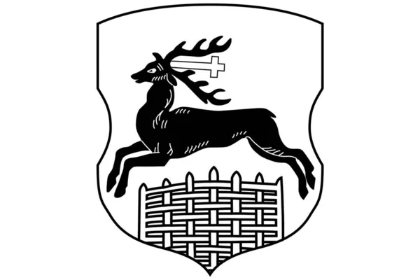 Brasão Armas Cidade Sinal Logotipo — Vetor de Stock