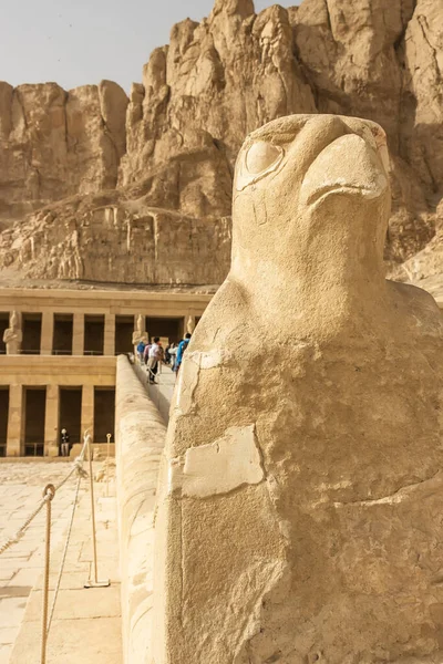 Sculpture Dieu Égyptien Ancien Horus Avec Tête Faucon Temple Hatchepsout — Photo