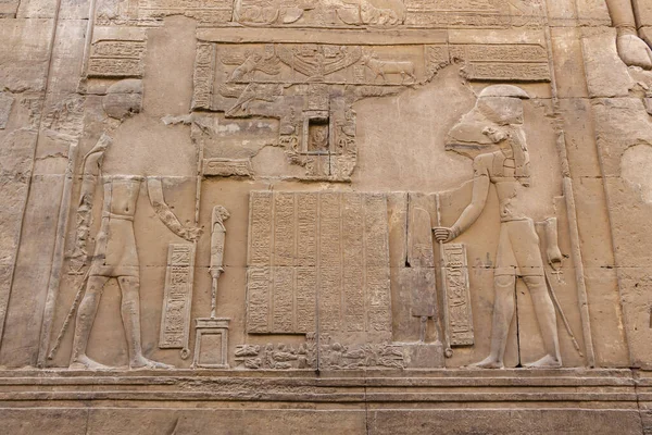 Mısır şahin tanrısı Horus ve Sobek detayı Kom Ombo Tapınağı 'nın duvarında, Aswan