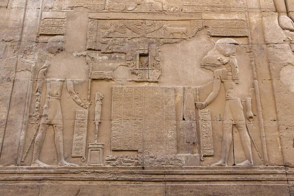 Egyptský Sokol Horus Sobek Detail Zdi Chrámu Ombo Aswan Stock Snímky