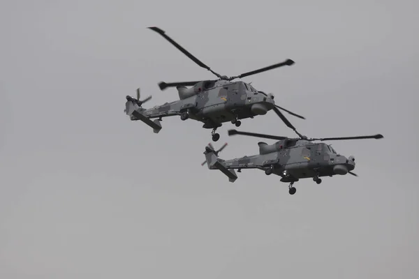 Leeuwarden Netherlands Июня 2016 Два Вертолета Agustawestland Aw159 Wildcat Действии — стоковое фото