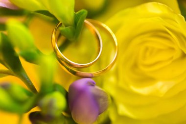 Evlilik yüzükleri. Düğün sembolleri, özellikler. Tatil, kutlama.