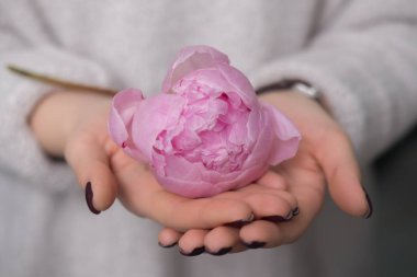 Bir kızın elinde çiçek