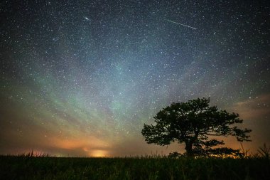 Eski meşe, Perseid meteoru ve yeşil hava parlaklığı