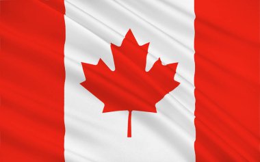 Kanada Bayrağı