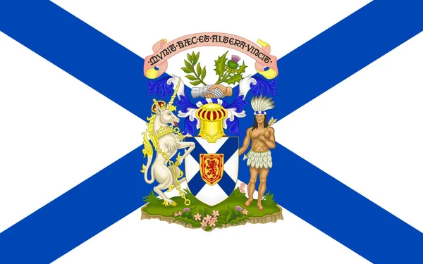 Vlajka nové Skotsko, Kanada — Stock fotografie