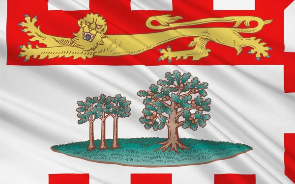 Флаг Острова Принца Эдуарда — стоковое фото
