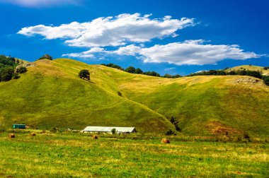 Yeşil tepelerin eteklerinde, büyük çiftlik