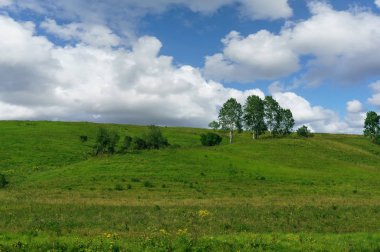 Yeşil bir tepede büyüyen ağaç