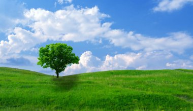 Yeşil çim hill ve bir ağaç