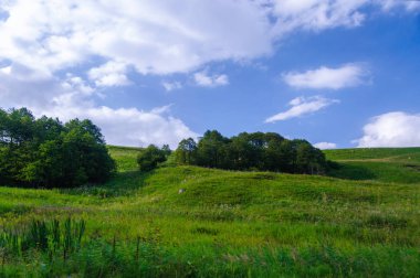 Yeşil çim hill ve ağaçlar