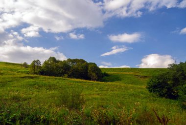 Yeşil çim hill ve ağaçlar