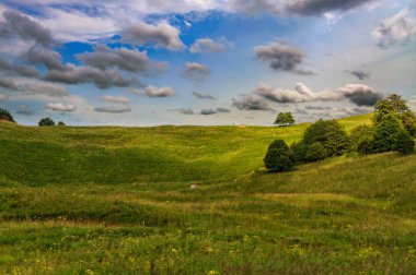 Yeşil çim hill ve bir ağaç