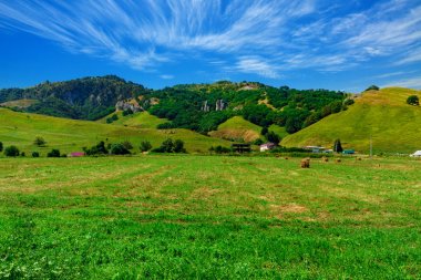 Yeşil tepelerin eteklerinde, büyük çiftlik