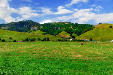 Yeşil tepelerin eteklerinde, büyük çiftlik
