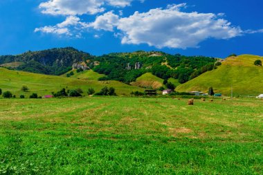 Yeşil tepelerin eteklerinde, büyük çiftlik