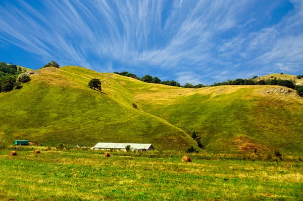 Yeşil tepelerin eteklerinde, büyük çiftlik