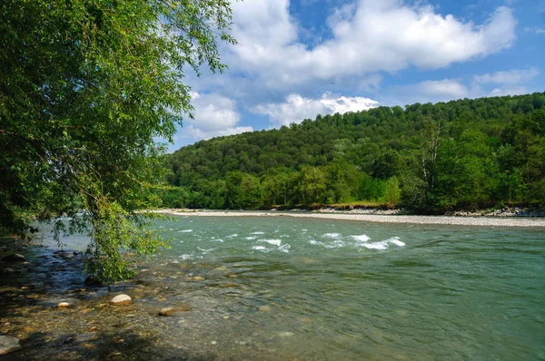 ormandaki nehir dağ