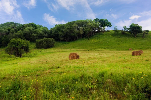 Grüner Grashügel und Heuballen — Stockfoto