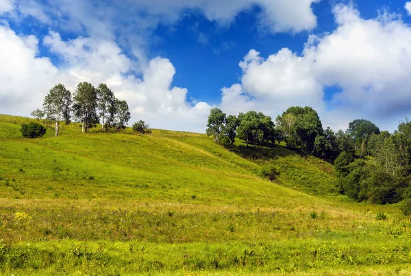 Yeşil bir tepede büyüyen ağaç