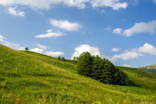 Yeşil çim hill ve ağaçlar — Stok fotoğraf