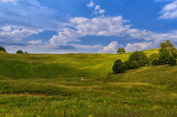 Yeşil çim hill ve bir ağaç