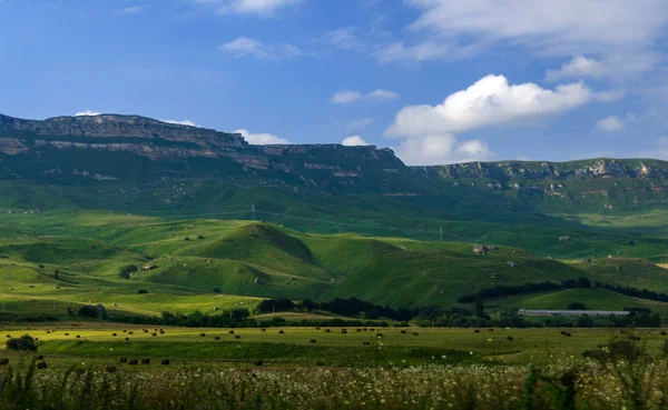 Yeşil çim Hill ve saman balya