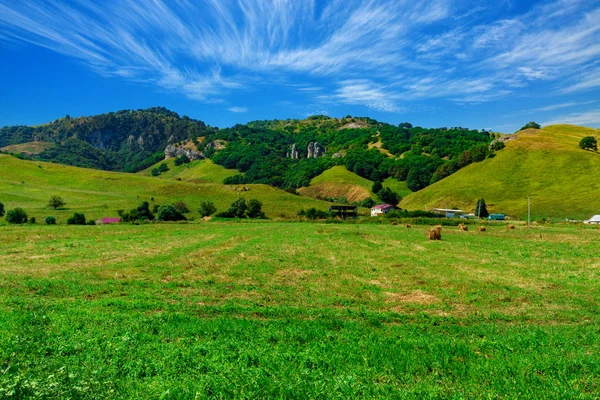 Yeşil tepelerin eteklerinde, büyük çiftlik