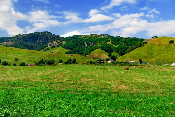 Yeşil tepelerin eteklerinde, büyük çiftlik