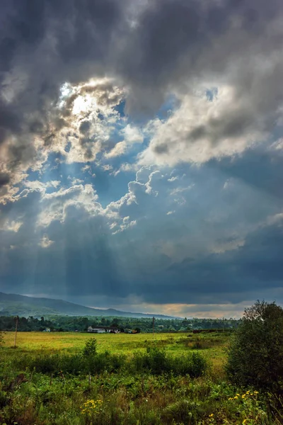Güneş ışınları yeşil çayır üzerinde